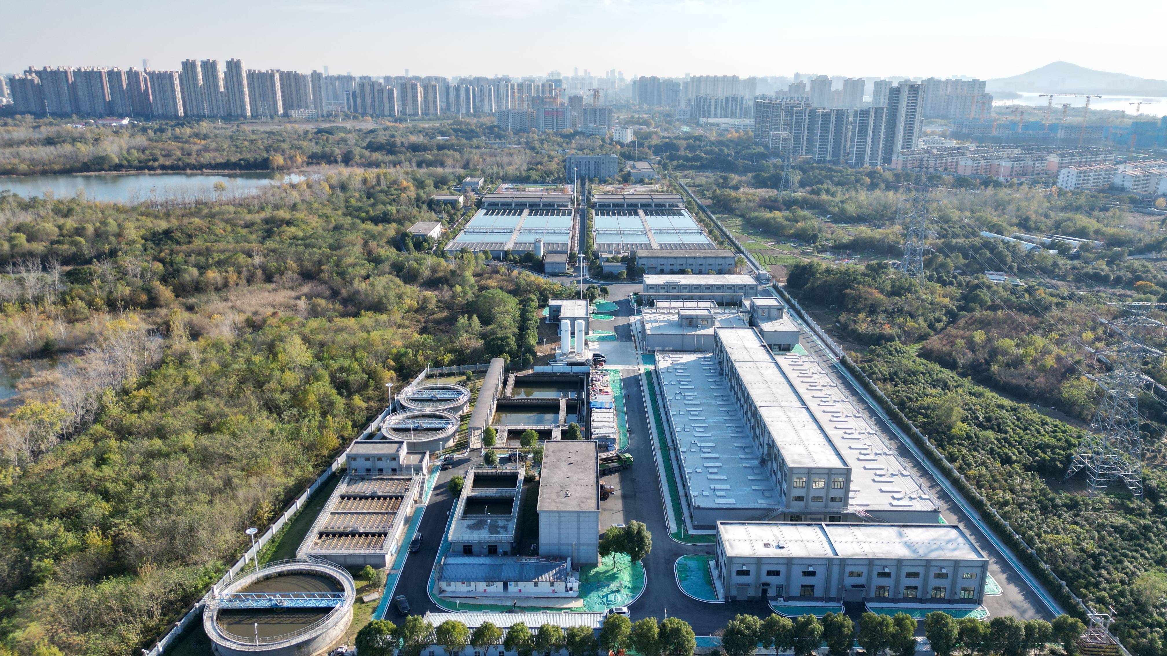 湛江市合肥专业企业价值增长(合肥市重点企业产业目录)