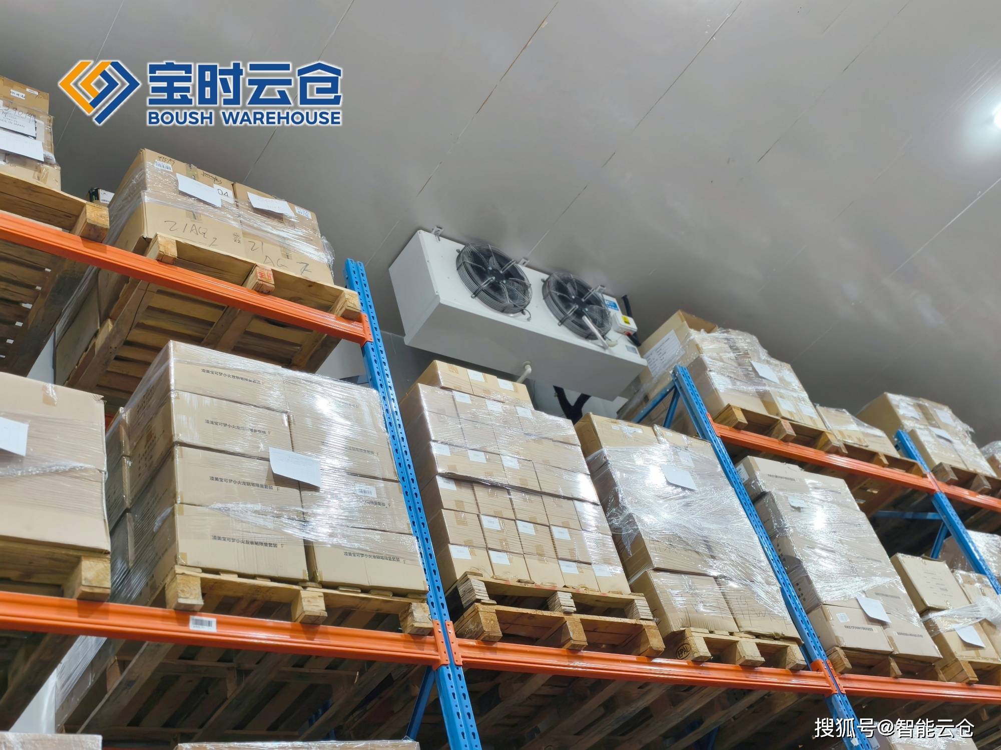 湛江市领先物流品牌升级(领先物流服务商是自营物流)