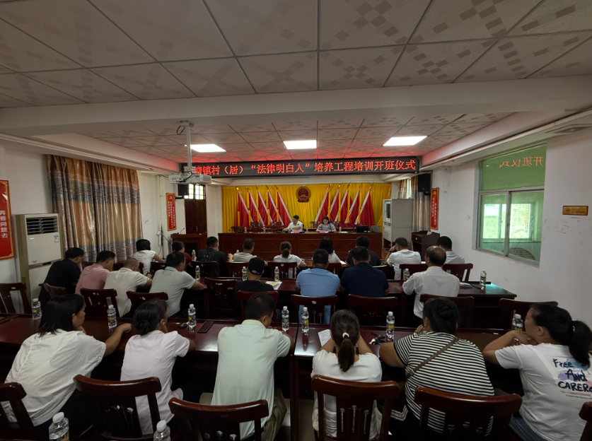 湛江市海口专业法务咨询(海南法之道法务咨询有限公司)