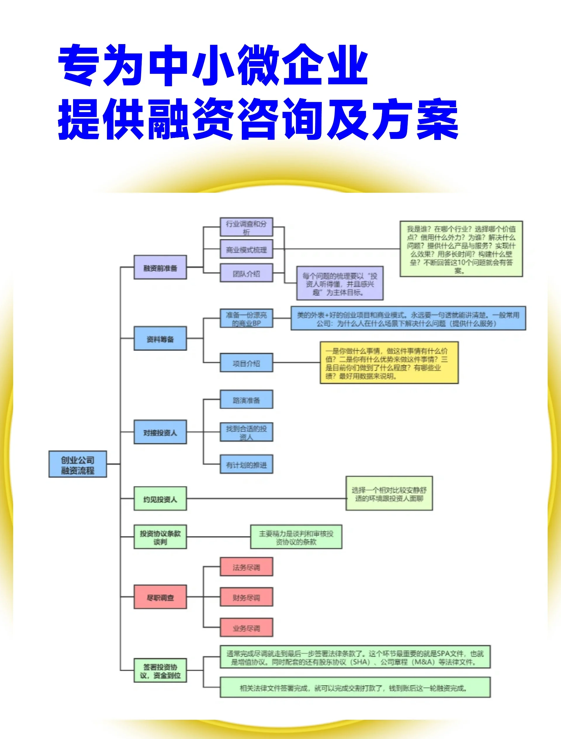 湛江市宠物企业资金管理(宠物管理机构叫什么)