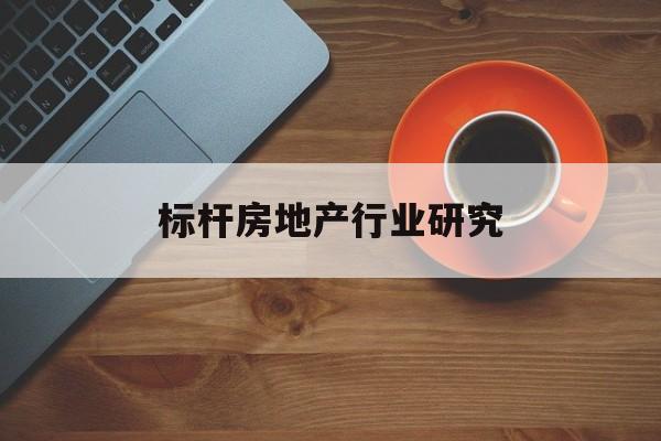 湛江市标杆房地产行业研究(房地产领域的标杆人物)