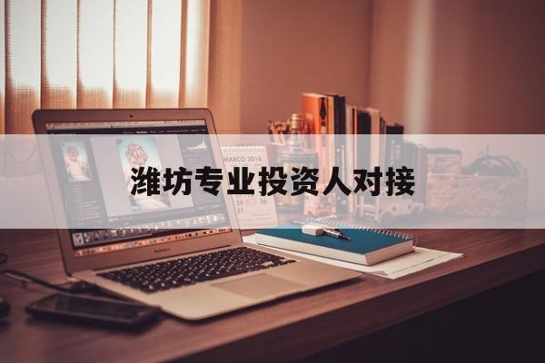 湛江市潍坊专业投资人对接(潍坊专业投资人对接中心)
