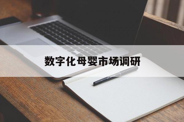 湛江市数字化母婴市场调研(数字化母婴市场调研报告)