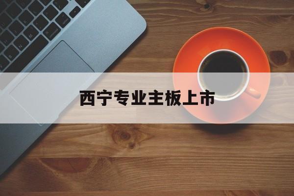 湛江市西宁专业主板上市(西宁有什么上市公司)