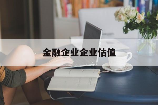 湛江市金融企业企业估值(最新企业估值怎么填)